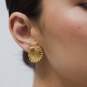 Clam Earring - Gold